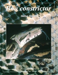 Boa constrictor