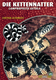 Die Kettennatter - Lampropeltis getula