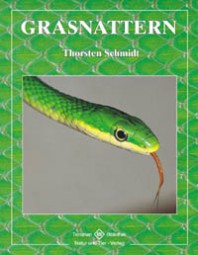 Grasnattern