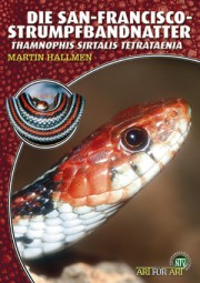 Die San-Francisco-Strumpfbandnatter - Thamnophis sirtalis tetraenia