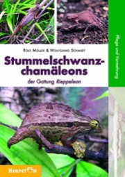 Stummelschwanzchamäleons