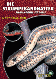 Die Strumpfbandnatter - Thamnophis sirtalis