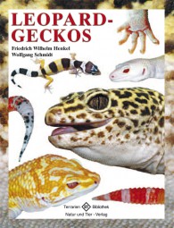 Leopardgeckos