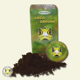 Coco - Ground