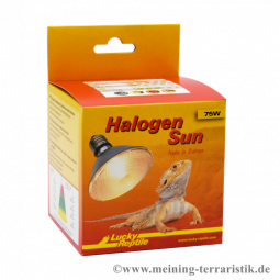 Lucky Reptile Halogen Sun 