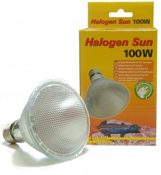 Lucky Reptile Halogen Sun 