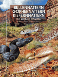 Buttennattern, Gophernattern Kiefernattern - Die Gattung Pituophis