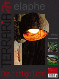 TERRARIA 37, Das richtige Licht 9/10 2012