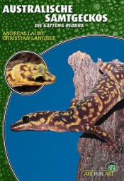 Australische Samtgeckos - Die Gattung Oedura