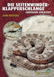 Die Seitenwinder-Klapperschlange - Crotalus cerastes