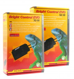 Lucky Reptile Bright Control EVO 35 Watt