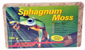 Lucky Reptile Sphagnum Moss, 100g