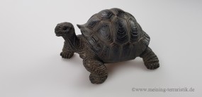 Landschildkröte mittel, 16 x 13 x 9 cm