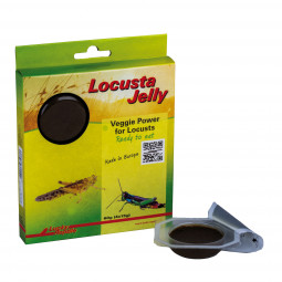 Locusta Jelly 4 x 15g