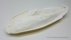 Sepiaschulp XXL, ca. 28 cm