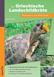 Die Griechische Landschildkröte
