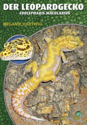 Der Leopardgecko - Eublepahris macularius