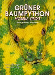 Der Grüne Baumpython - Morelia viridis