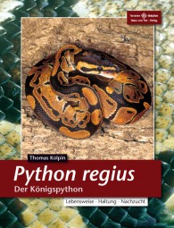 Python regius - Der Königspython