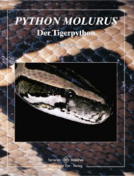 Python molurus - Der Tigerpython