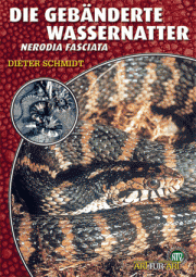Die gebänderte Wassernatter - Nerodia fasciata