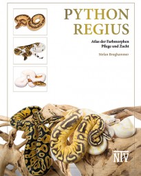 Python regius – Atlas der Farbmorphen