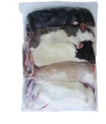 Ratten XL ca. 200g